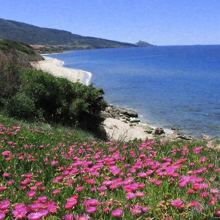 Aparthotel Residenza Sul Mare Valledoria  Zewnętrze zdjęcie